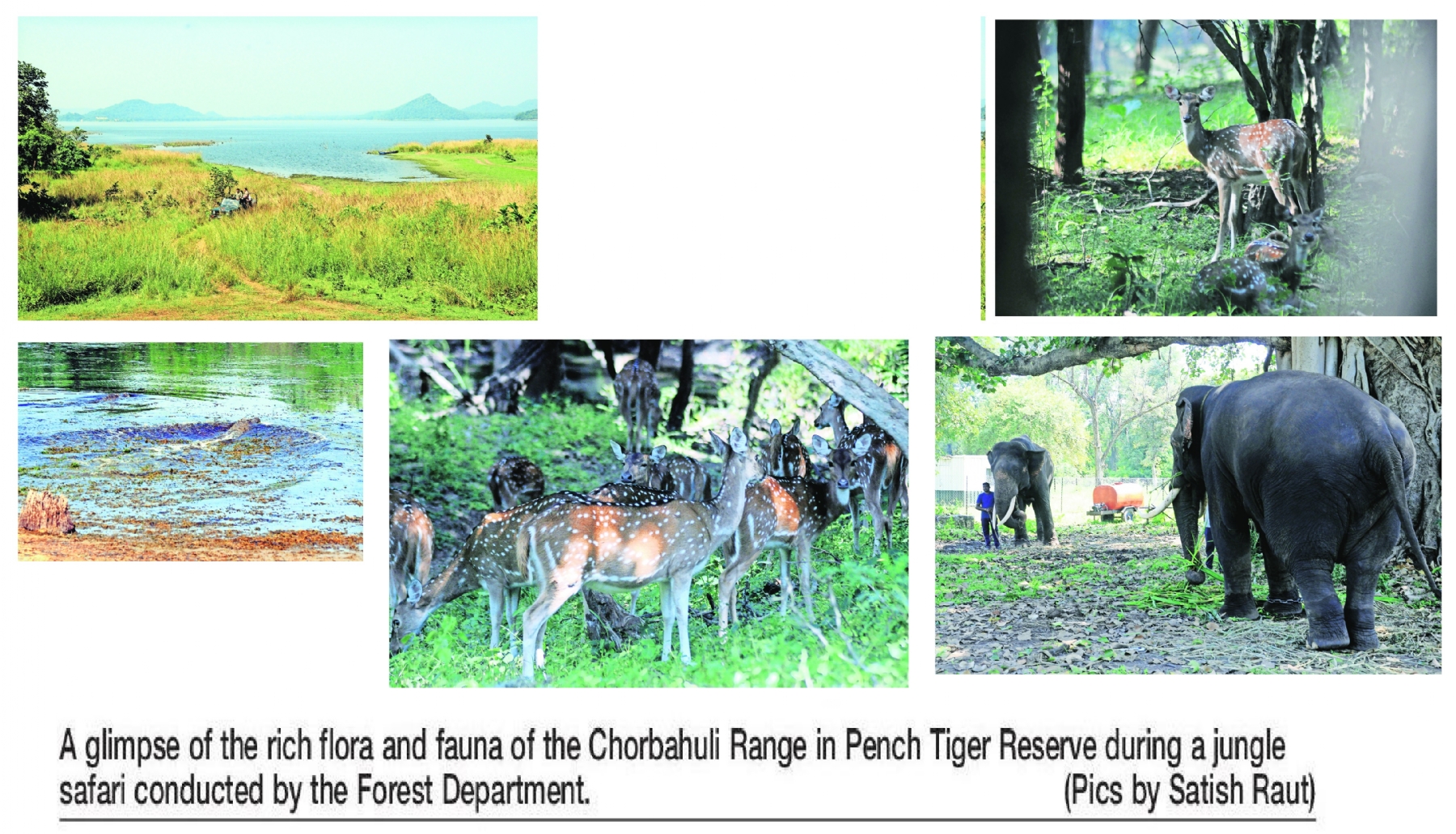 Wildlife Week concludes with a call for 