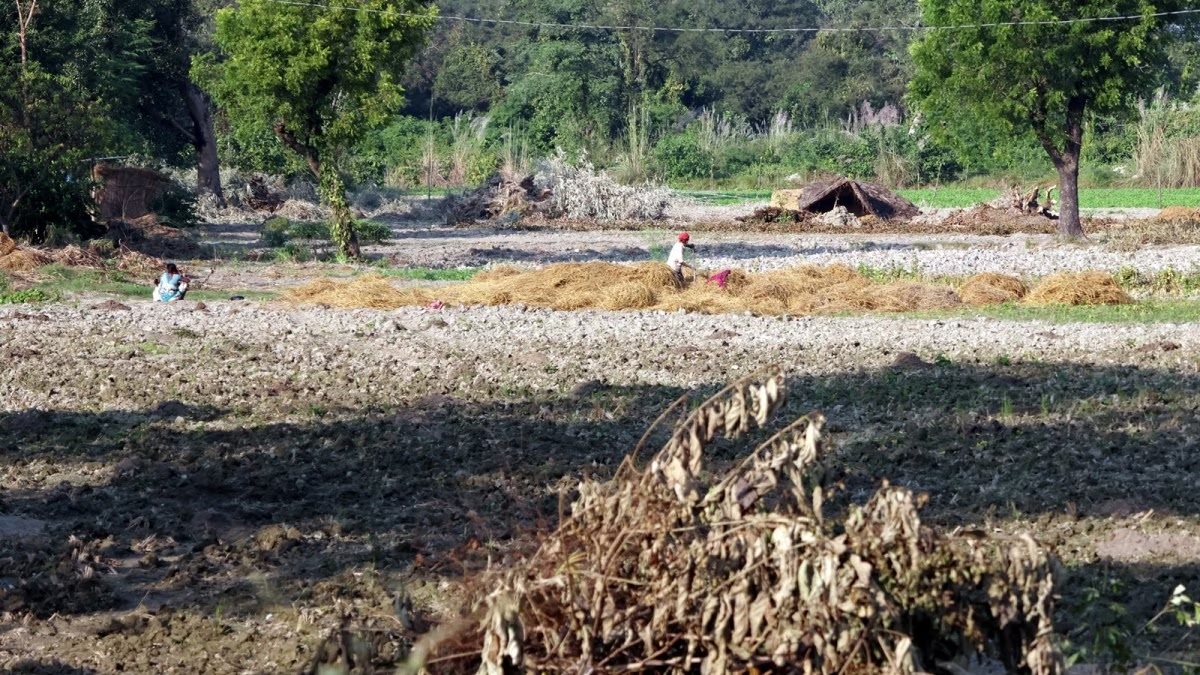 Important amendments made in Maharashtra Land Revenue Code