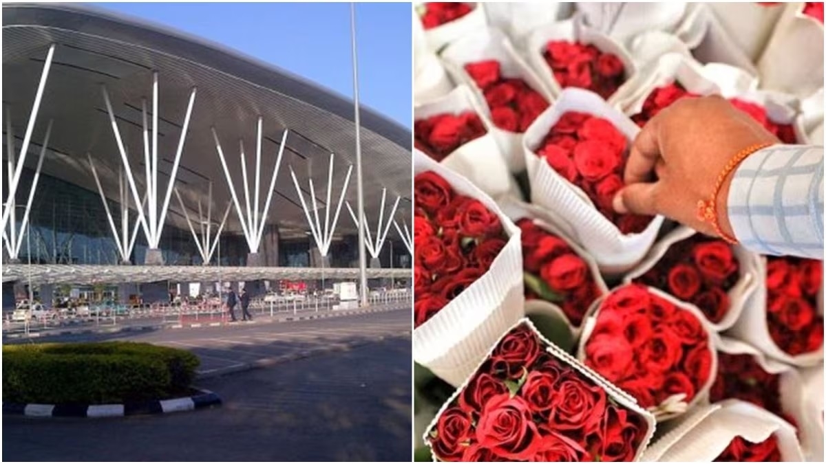 Bluru airport ships over 60 mn roses this Valentines season