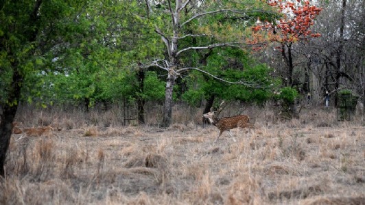 Change in weather may bring slight drop in temp across State