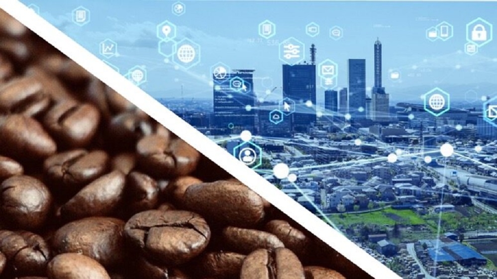 Climate change adversely impacting worlds coffee supply