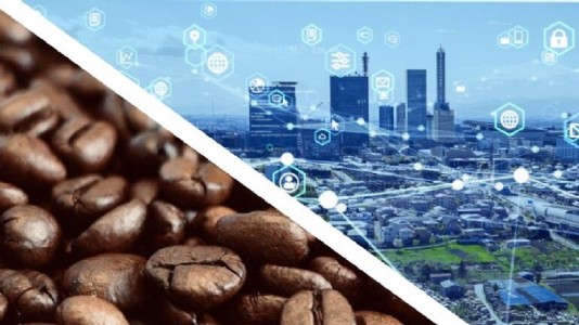 ‘Climate change adversely impacting world’s coffee supply’