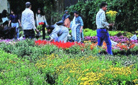 Dark clouds over Garden Mitra as NMC puts scheme on hold