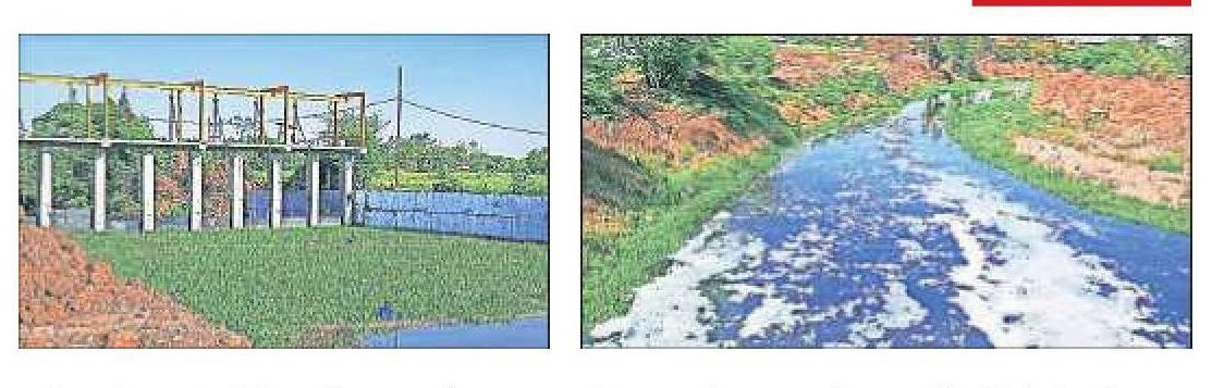 STP on Pohra river in Narsala turns into curse