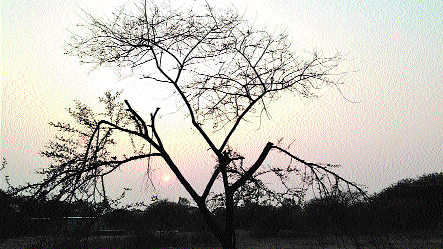 Mercury plummets by 6.4°C