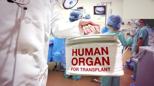 Organ transplants in India see 4-fold rise since 2013