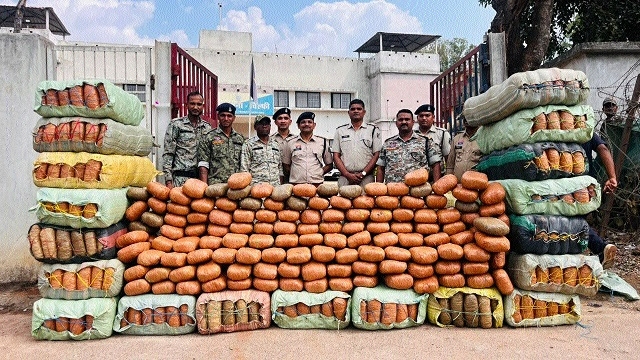 900 kg cannabis  of Rs 5 cr seized