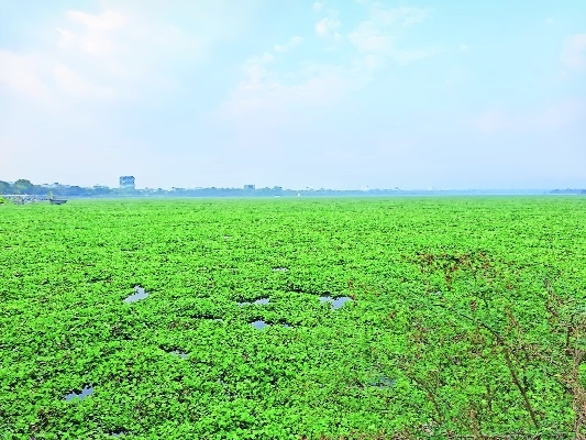 Ambazari A lake disappearing in plain sight