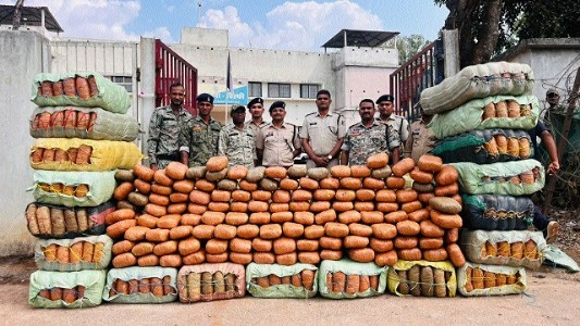 900 kg cannabis of Rs 5 cr seized, Officials recovered 30 sacks of cannabis, each weighing approximately 30 kilogram, taking the total haul to about 900 kg