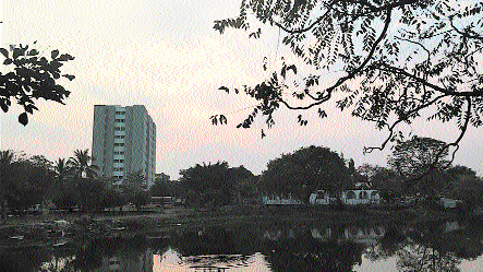 Temperature surges above normal