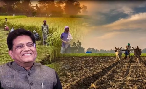 Core sensitivities in food, agri fully safeguarded in India-US trade deal: Goyal