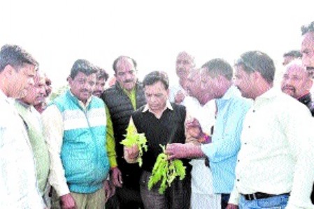 Instructions issued for prompt survey of crop damaged due to unseasonal rains