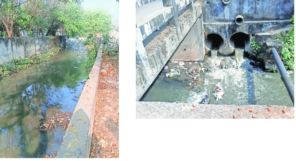 Pohra nullah continues to curse Shastri Layout residents 