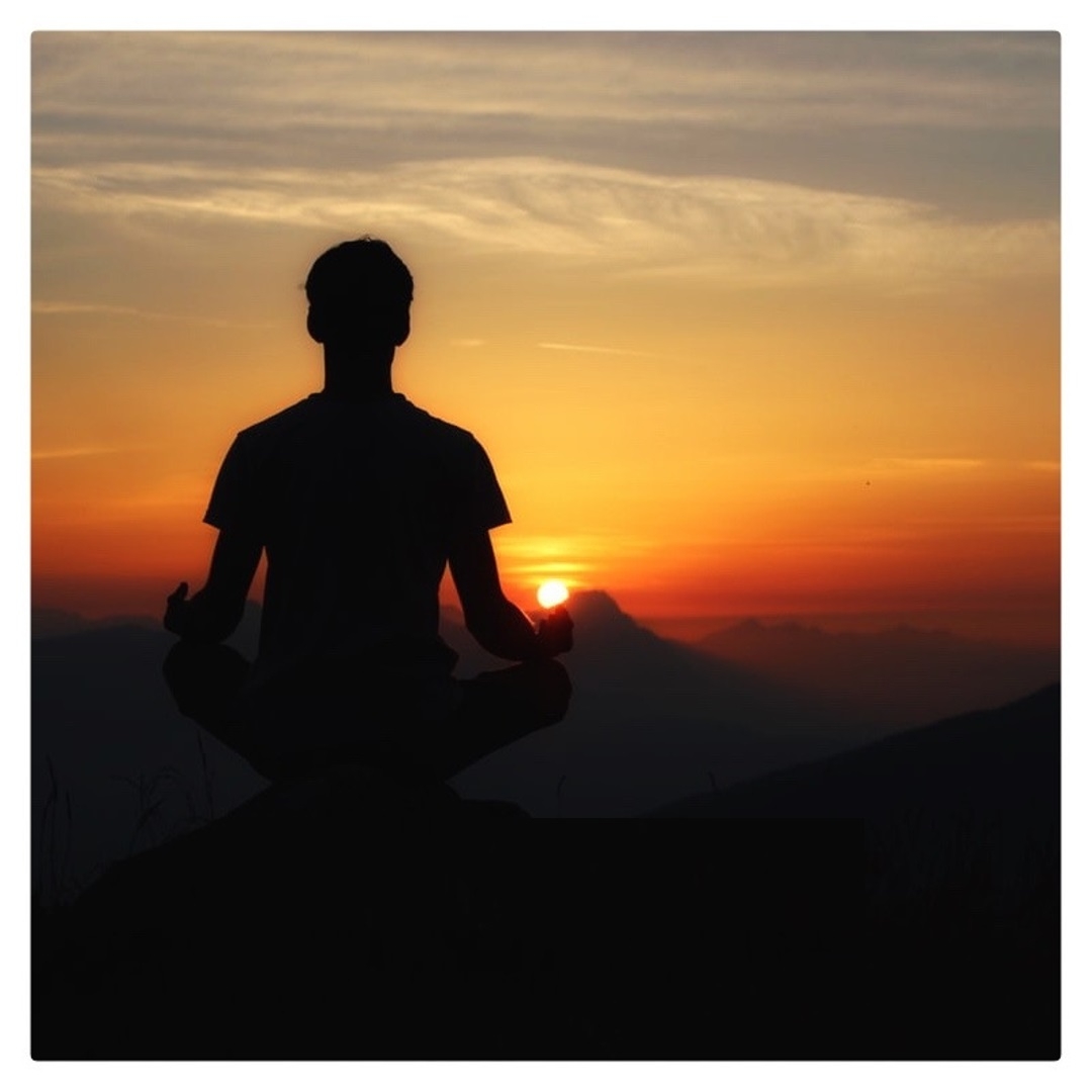 Antarmauna - Science Of Silence