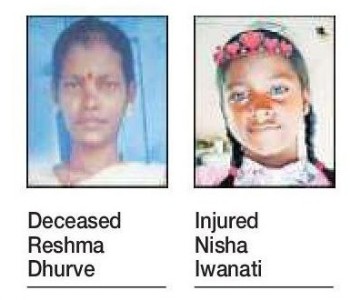 MAN-ANIMAL CONFLICT Woman killed, teen injured in Gaur attack