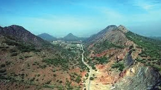  Aravallis lost 13.8 pc 