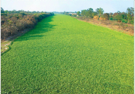 Concern raised over Kharun river pollution