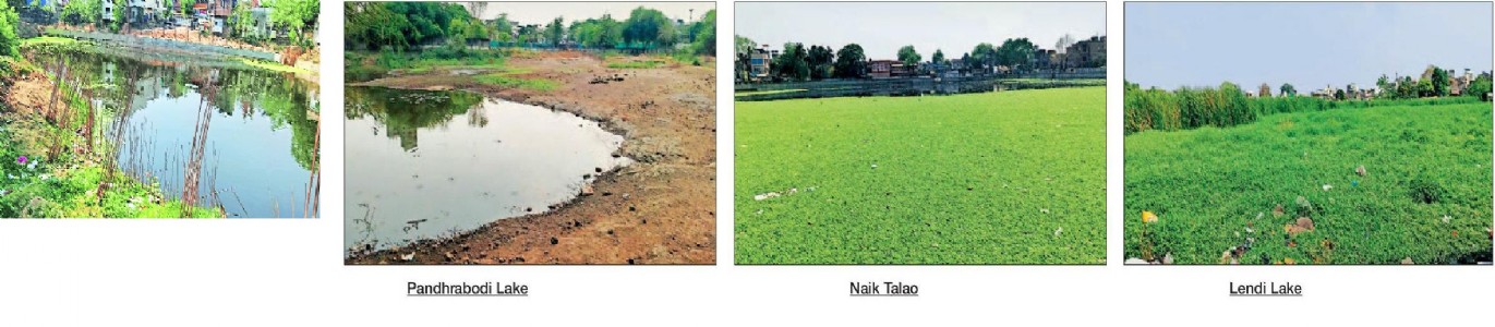 Four more lakes on brink of extinction, revival attempts fail