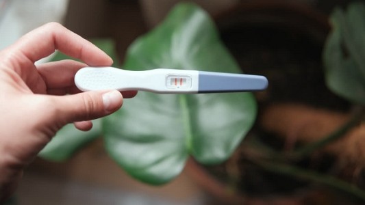 3 minor girls pregnant in Bijapur hostel: alleges Cong