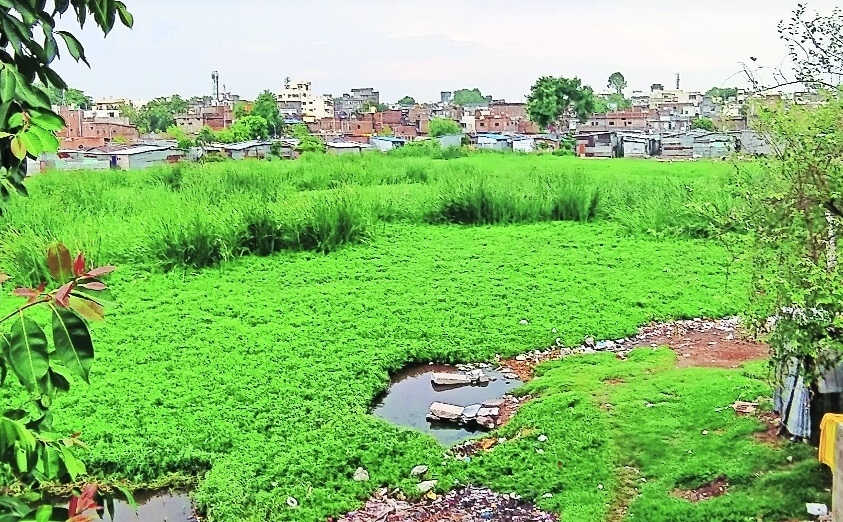 Need to take up rejuvenation of lakes on priority 