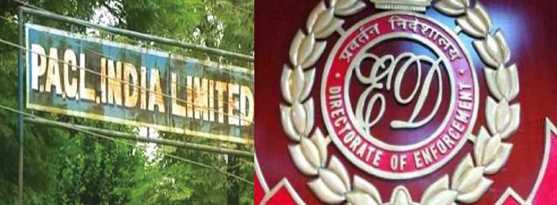 Highest attachment ED freezes over 