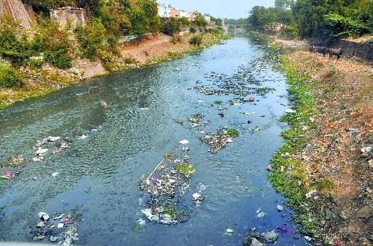 Who killed Nagpurs lakes