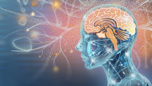 Mind: A mirror, not a window