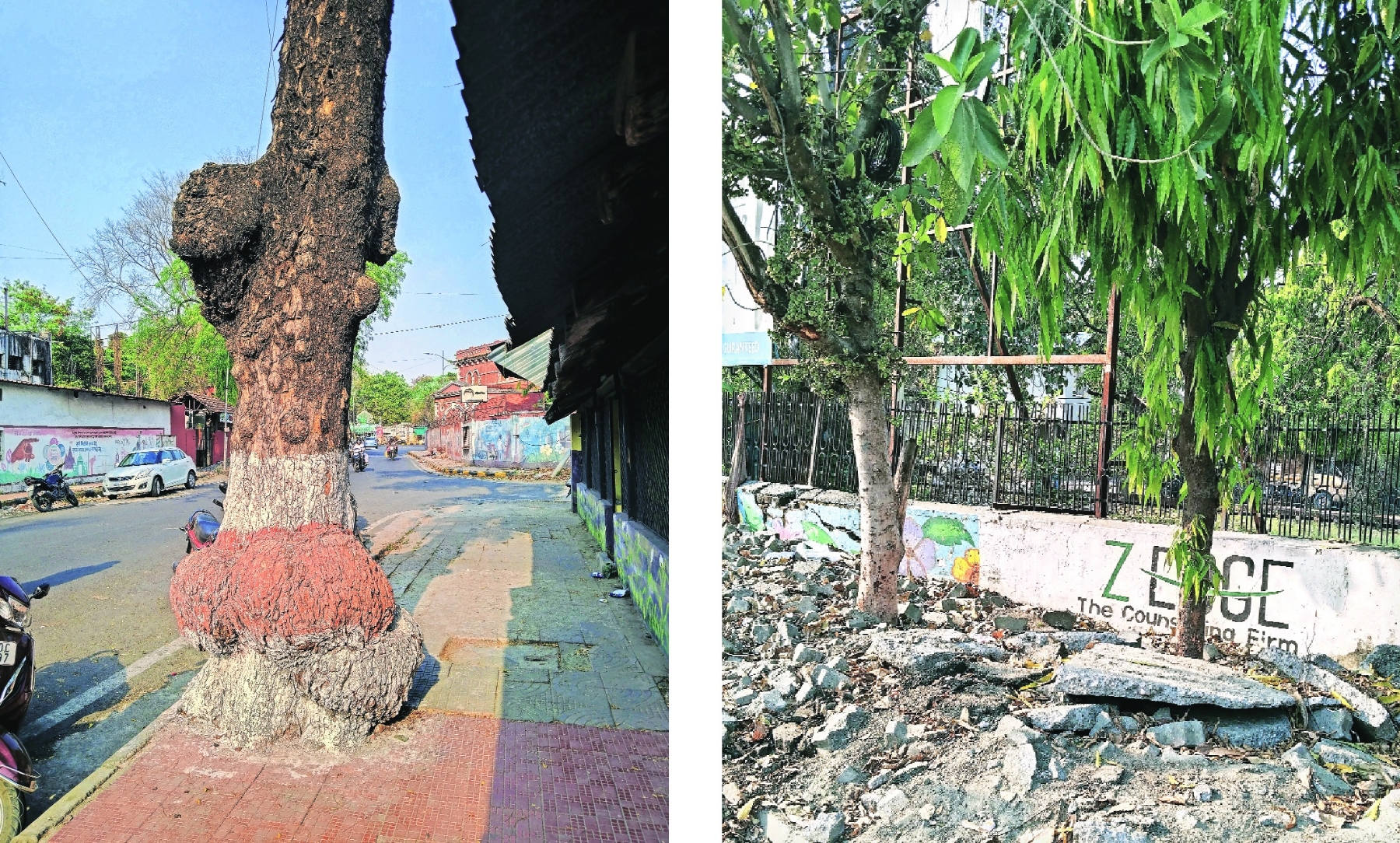 NMC launches third phase of de-choking of trees 