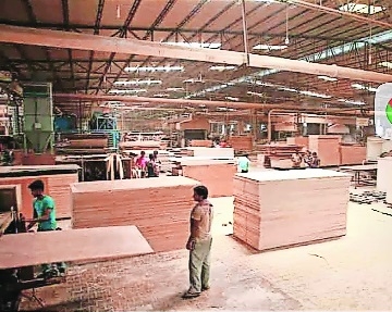 Plywood laminate prices shoot up as Gulf war cripples supply chains