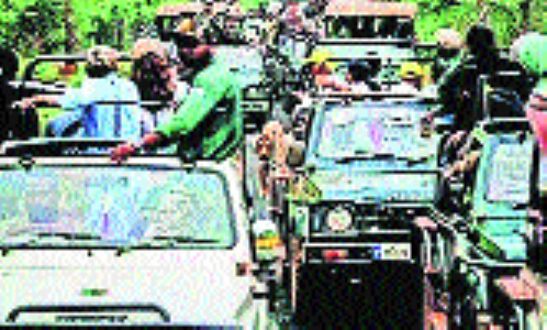 Fuel panic roars through Vidarbha Tiger tourism, Bor reserve worst hit