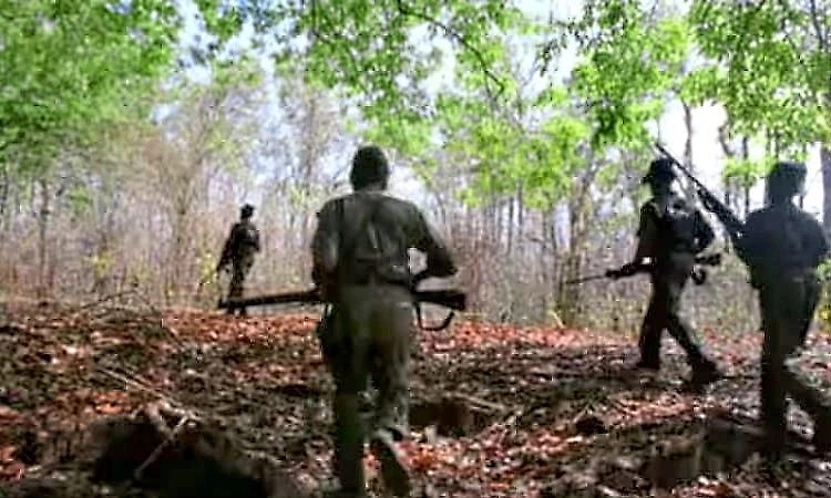‘Over 10,000 Maoists laid down arms in last 