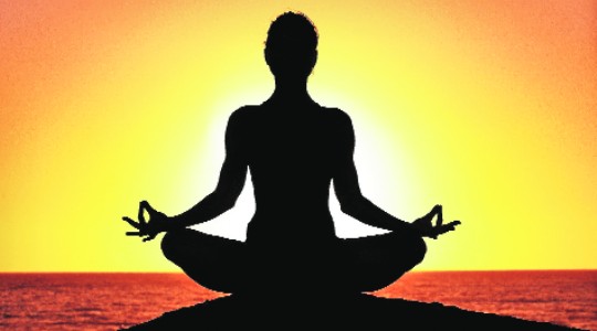 New yoga protocols launched