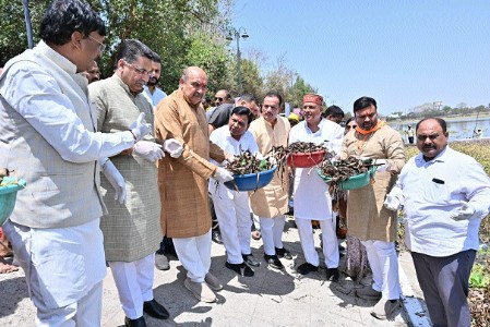 ‘Over 10,000 Maoists laid down arms in last