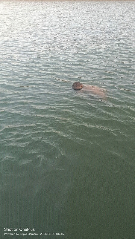 Divers fish out body