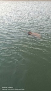 Divers fish out body of boy reported missing after two days in Bargi Dam