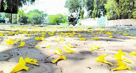 MP’s largest high-tech fire station ready at Raja Bhoj Airport