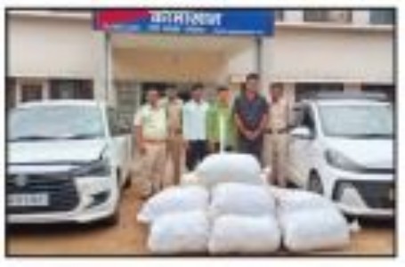 Massive narcotics crackdown