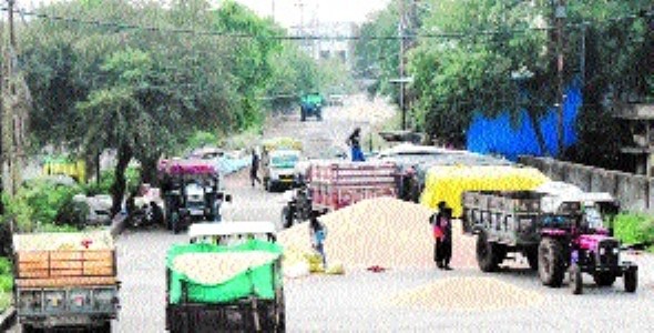 Wheat Procurement: 1,616 quintals purchased on day one, Payments begin at Rs 2,625 per quintal with record registrations