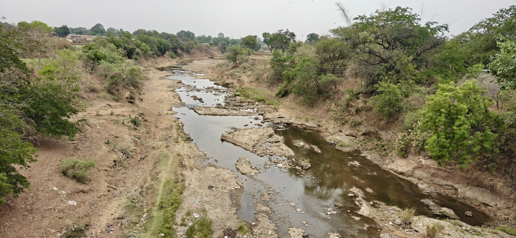 Haaf gasping for breath