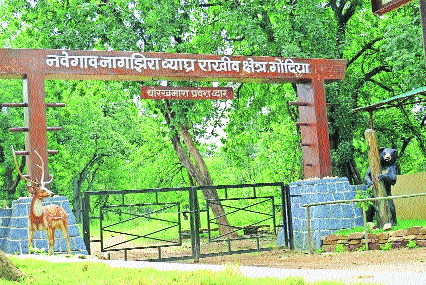 NNTR to open four new gates