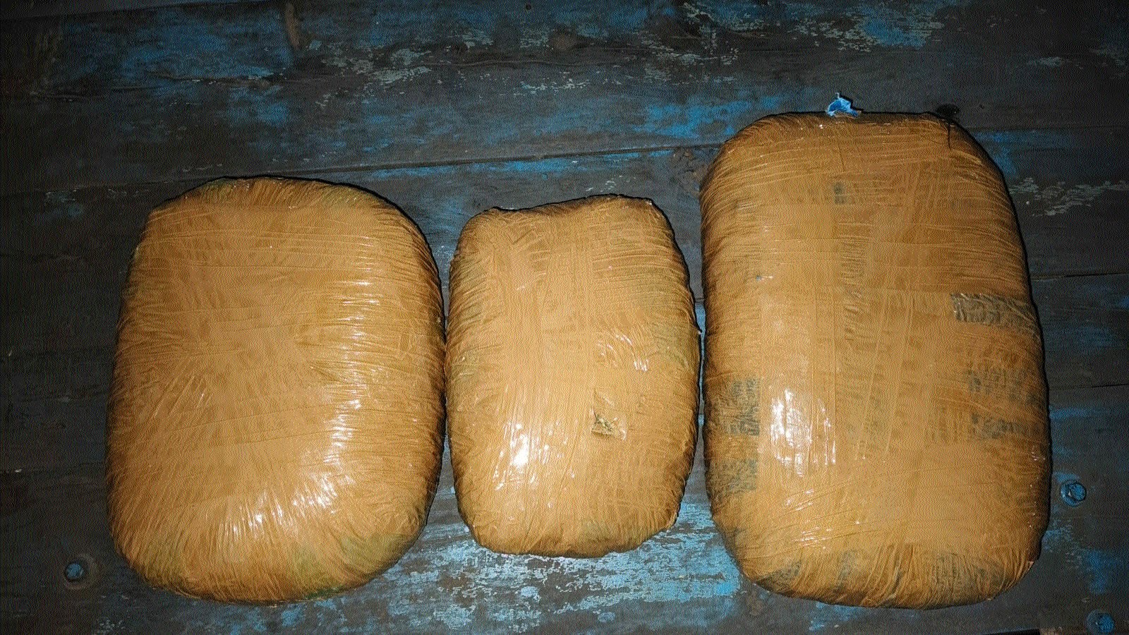 Six accused, including three women