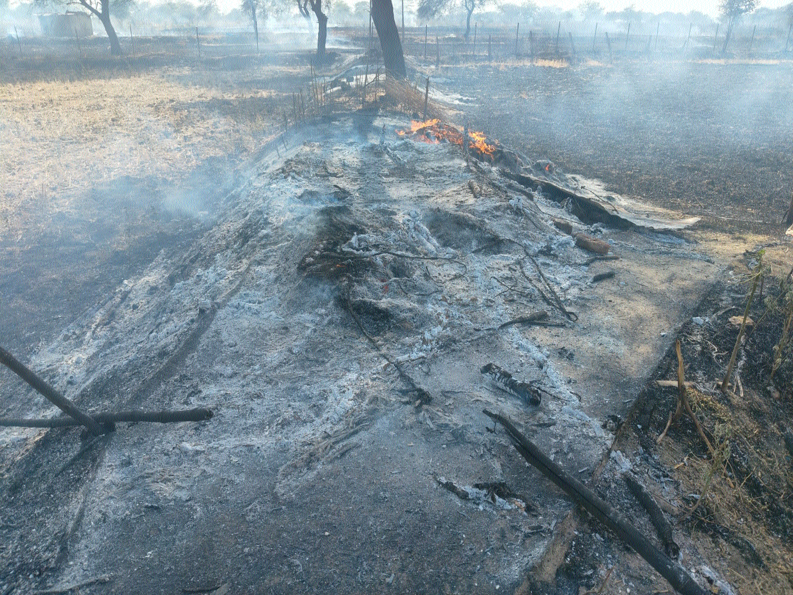 Agri infrastructure gutted