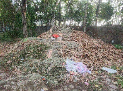 Heaps of Neglect: JMC’s dry leaf disposal plan under fire