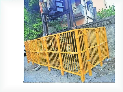 MSEDCL erects iron fence around transformers 