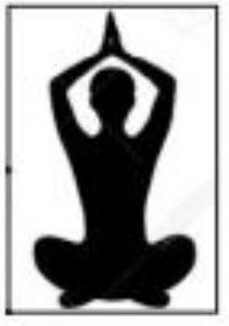 Summer yoga coachingcamp begins today