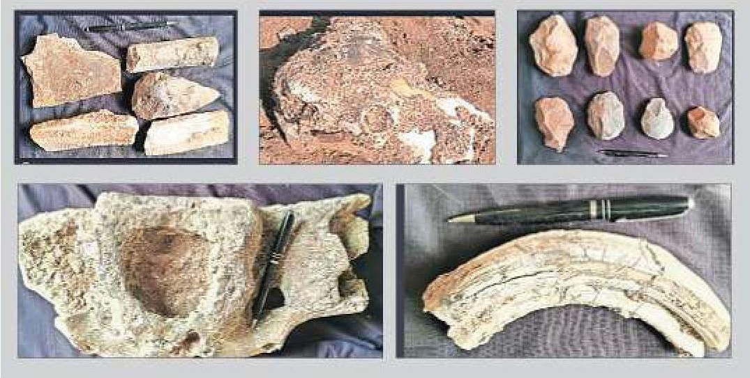 Rare fossils of animals, early humans found in Wardha river near Dhanora