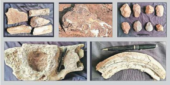 Rare fossils of animals, early humans found in Wardha river near Dhanora