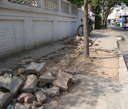 Of trees waiting to be dechoked