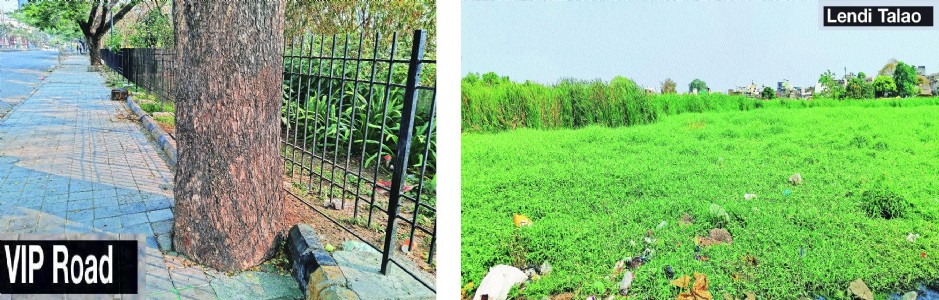 When a city engages in serial killings of lakes