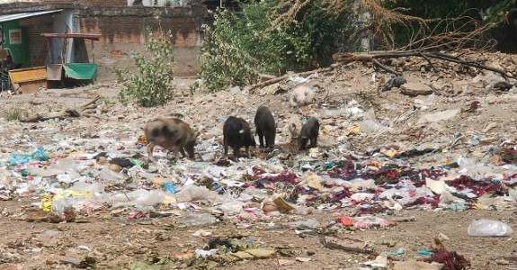 Despite JMC’s claims, cleanliness drives fall flat